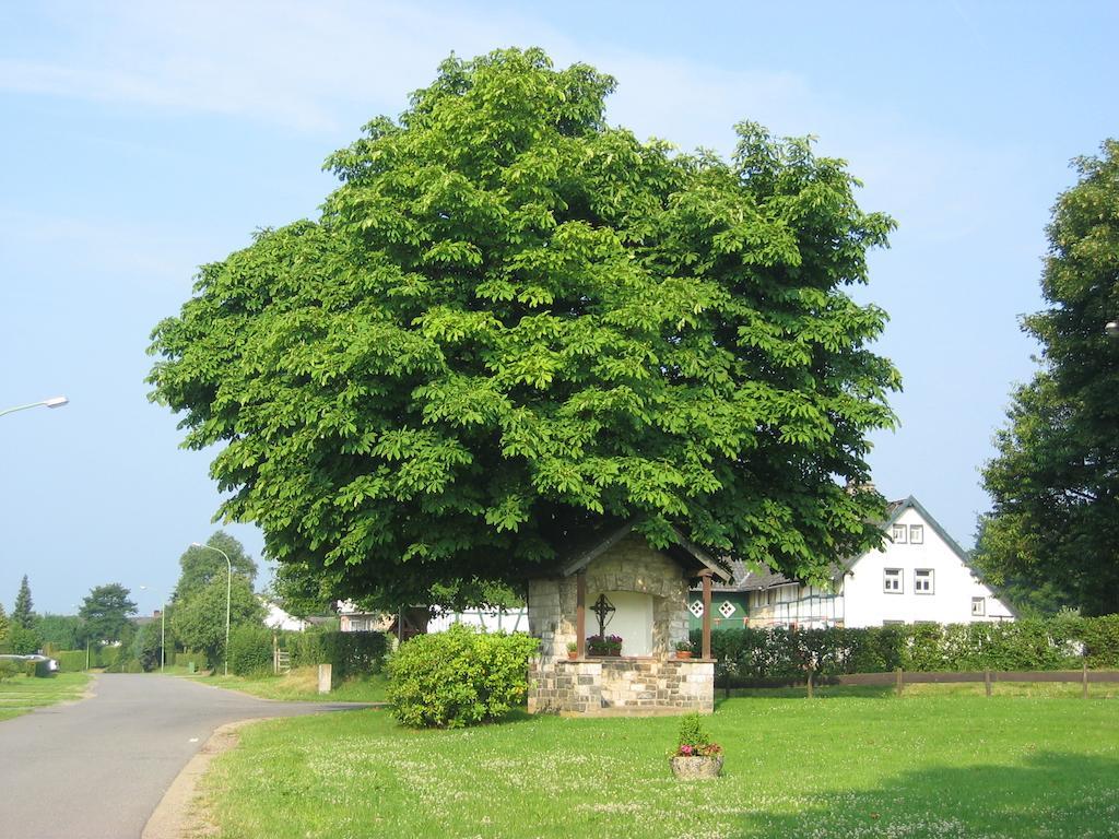 Ferienwohnung Roeben Simmerath Bagian luar foto