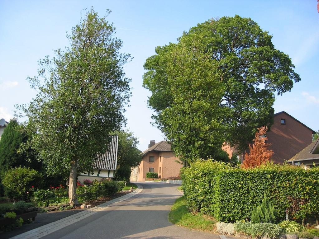 Ferienwohnung Roeben Simmerath Bagian luar foto